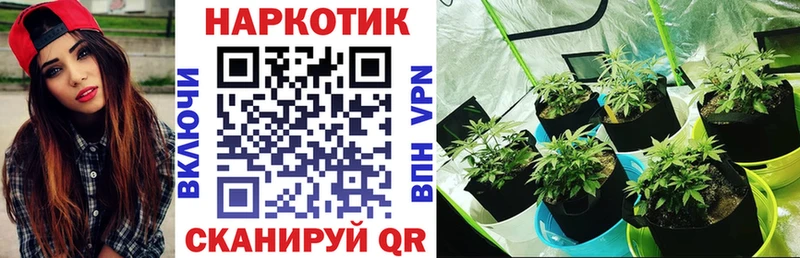 Цена Галич Метамфетамин  Бошки Шишки  Мефедрон  ГАШ  A-PVP 