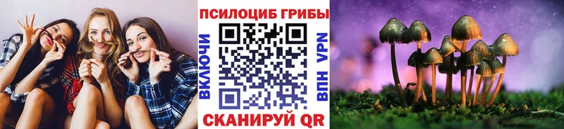 Галлюциногенные грибы мицелий  Галич 